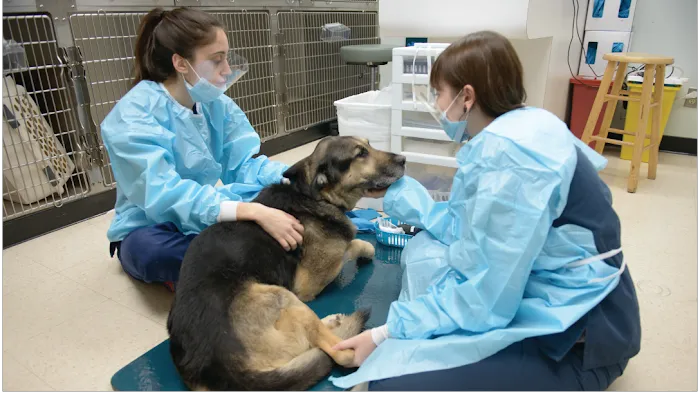 The Oncology Services - Springfield Picture 7