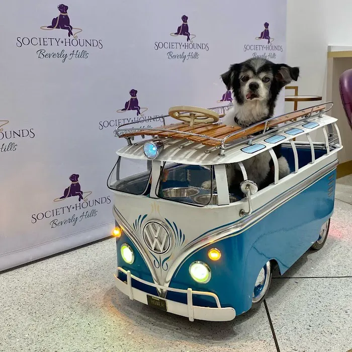 Society Hounds Picture 10