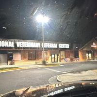 The Regional Veterinary Referral Center ico