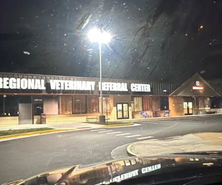 The Regional Veterinary Referral Center