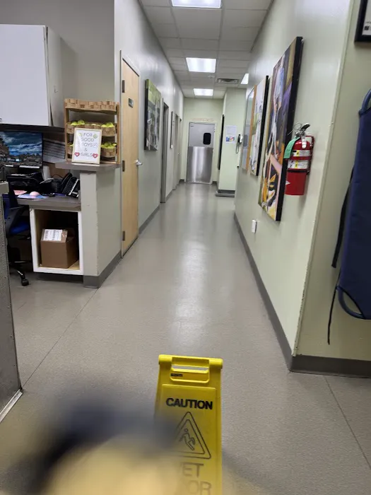 The Regional Veterinary Referral Center Picture 3