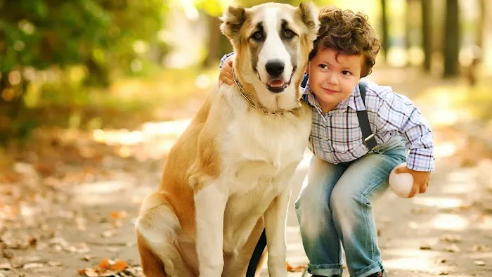 Animal Dermatology Clinic - Springfield Picture 3