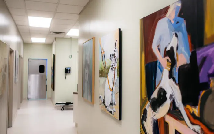 Animal Dermatology Clinic - Springfield Picture 1
