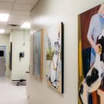 Animal Dermatology Clinic - Springfield