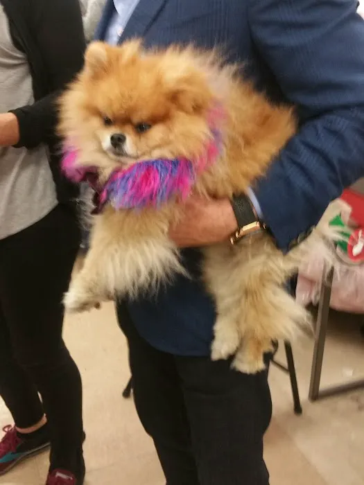 Petco Picture 10