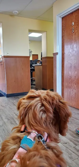 Springfield Animal Hospital Picture 8