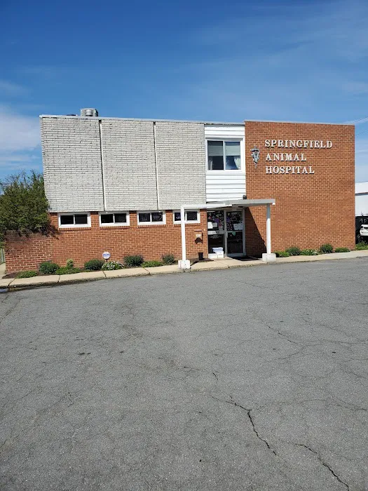 Springfield Animal Hospital Picture 9