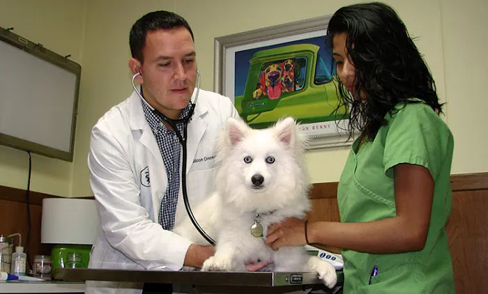 Springfield Animal Hospital Picture 4