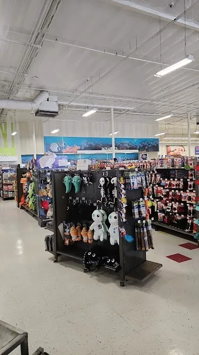 Petco Picture 3