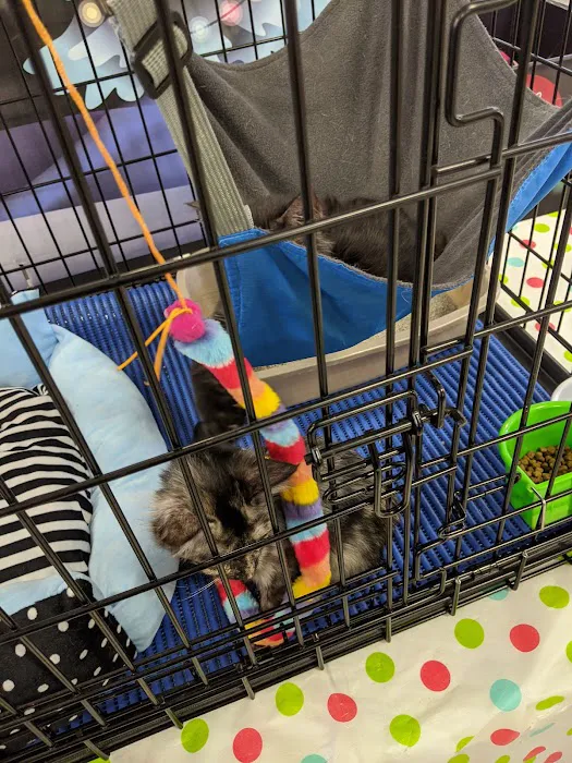 Petco Picture 10