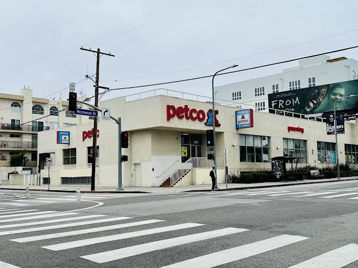 Petco Picture 5