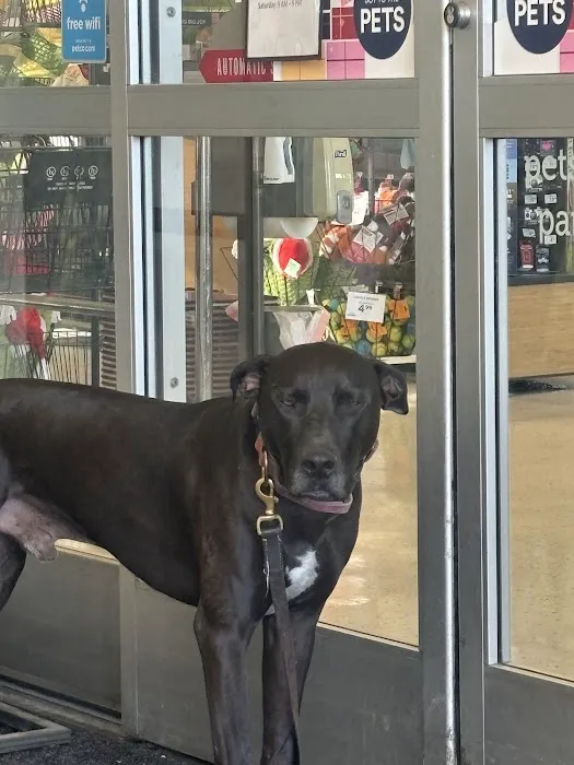 Petco Picture 2