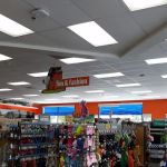Unleashed by Petco