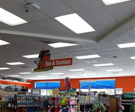 Unleashed by Petco