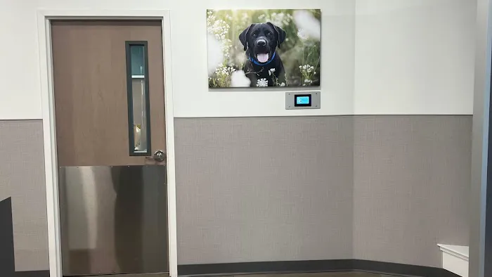 VCA Town Center Animal Hospital Picture 6
