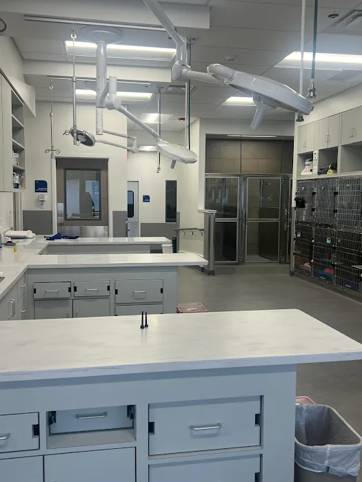VCA Town Center Animal Hospital Picture 8
