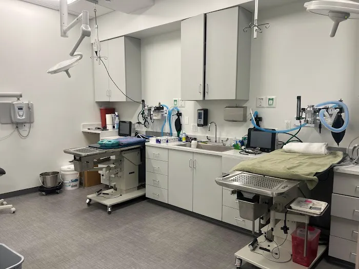 VCA Town Center Animal Hospital Picture 5