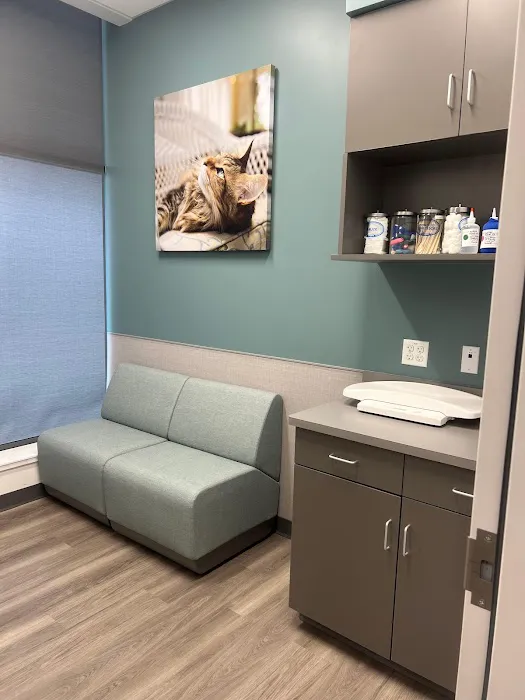 VCA Town Center Animal Hospital Picture 2