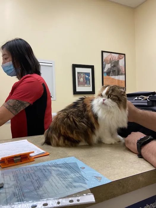 Colonial Animal Hospital Picture 10