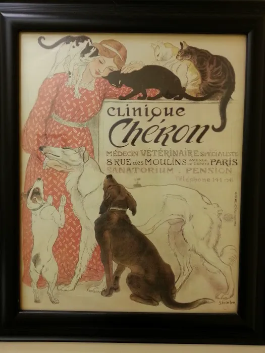 Colonial Animal Hospital Picture 8