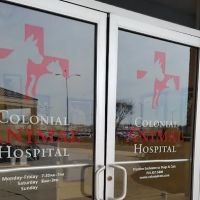 Colonial Animal Hospital ico