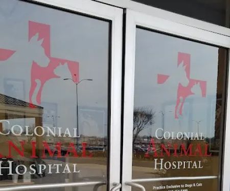Colonial Animal Hospital