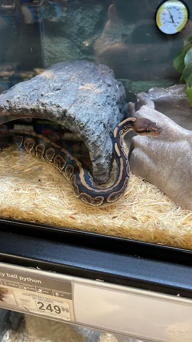 Petco Picture 7