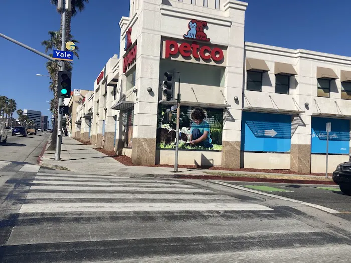 Petco Picture 4