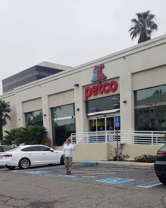 Petco Picture 2