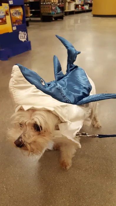 Petco Picture 6