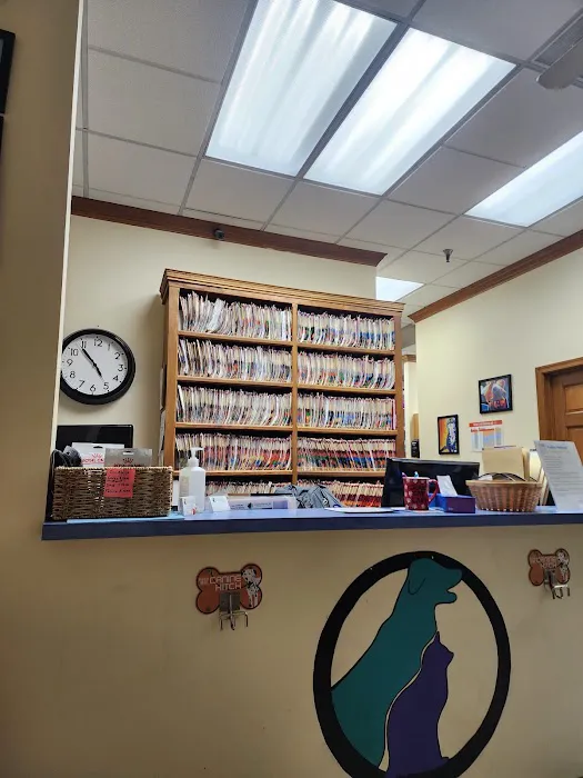 Companion Animal Hospital Picture 6