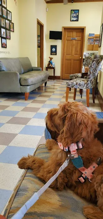 Companion Animal Hospital Picture 5