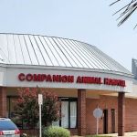 Companion Animal Hospital