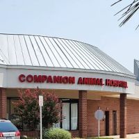 Companion Animal Hospital ico