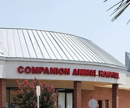 Companion Animal Hospital