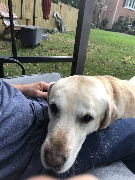 Companion Animal Hospital Picture 8