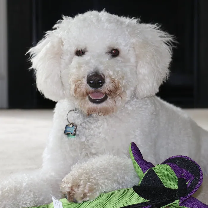 Companion Animal Hospital Picture 9