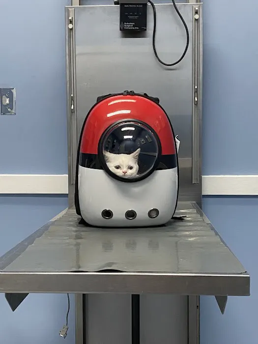 Pet Medical Center of Springfield Picture 1