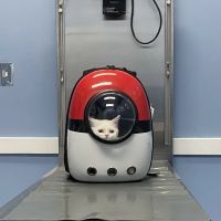 Pet Medical Center of Springfield ico