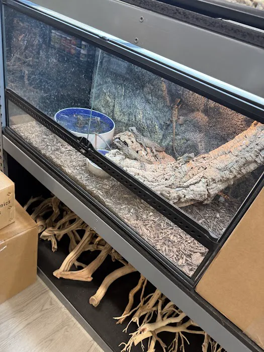 The Reptile Lounge Picture 4
