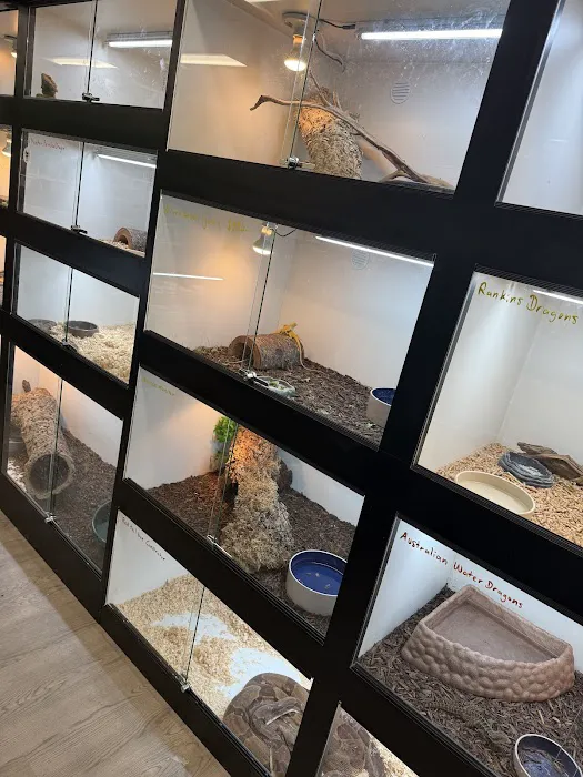The Reptile Lounge Picture 1