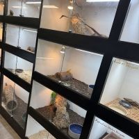The Reptile Lounge ico