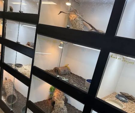 The Reptile Lounge