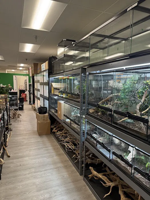 The Reptile Lounge Picture 3