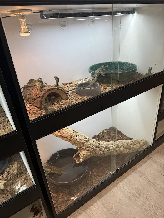 The Reptile Lounge Picture 2