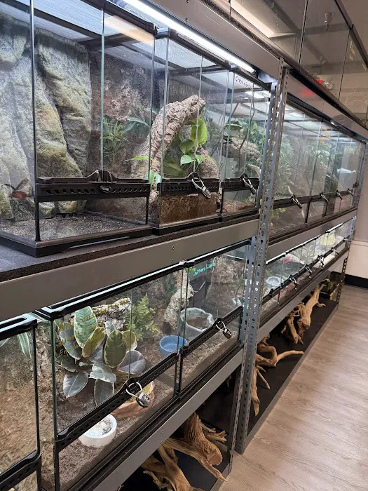The Reptile Lounge Picture 9