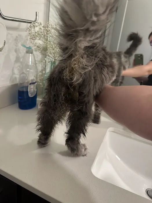 Banfield Pet Hospital Picture 7