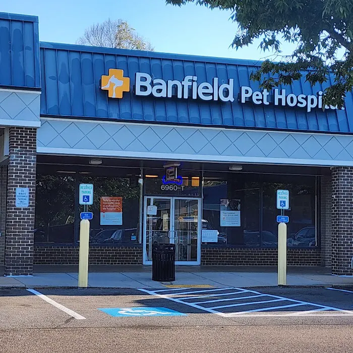 Banfield Pet Hospital Picture 3
