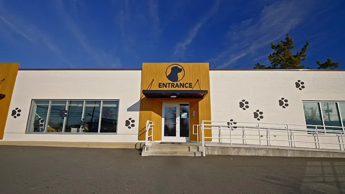 Columbia Pike Animal Hospital & Emergency Center Picture 2