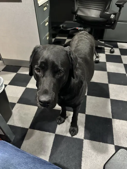 Gunston Animal Hospital Picture 5